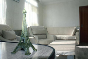 Apartment on saakadze street